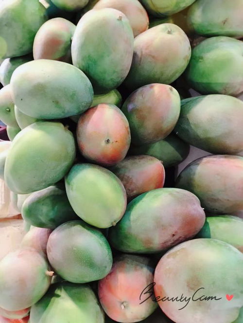 天津果蔬节即将举办 数百种国内外产地水果 津产特色蔬菜等将悉数到场